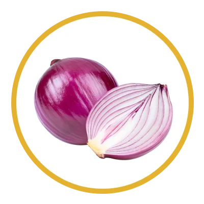 בצל סגול